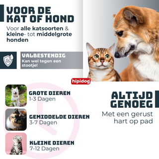 Hipidog Waterbak Grijs