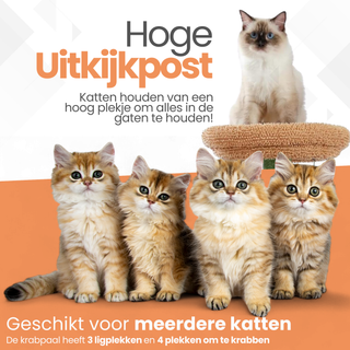 Krabpaal 78cm - Cactus