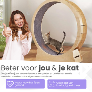 Katten Renwiel / loopwiel Hout