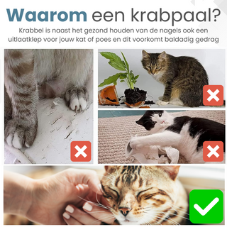 Krabpaal 46cm - met Speeltjes