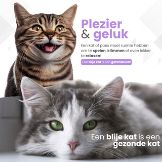 Krabpaal 75CM - Met Massagepilaar