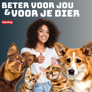 Hipidog Waterbak Grijs