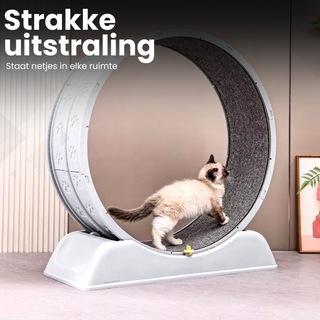 Katten loopwiel Wit