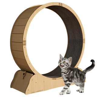 Katten Renwiel / loopwiel Hout