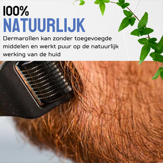 6 In 1 Dermaroller Baardgroei set