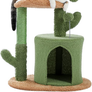 Cactus Krabpaal voor katten