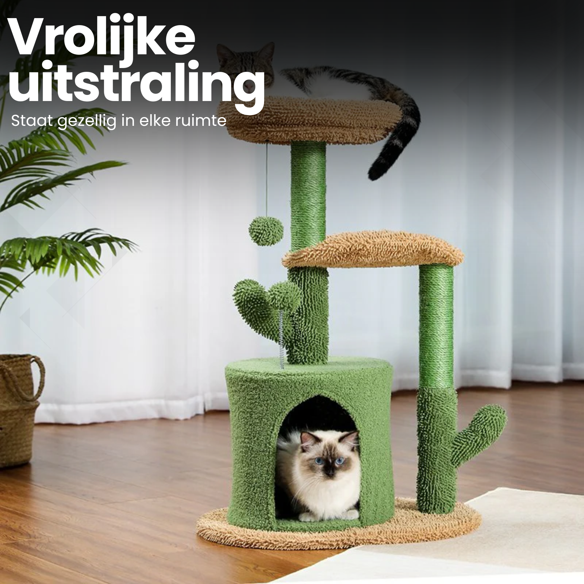 Krabpaal 78cm - Cactus