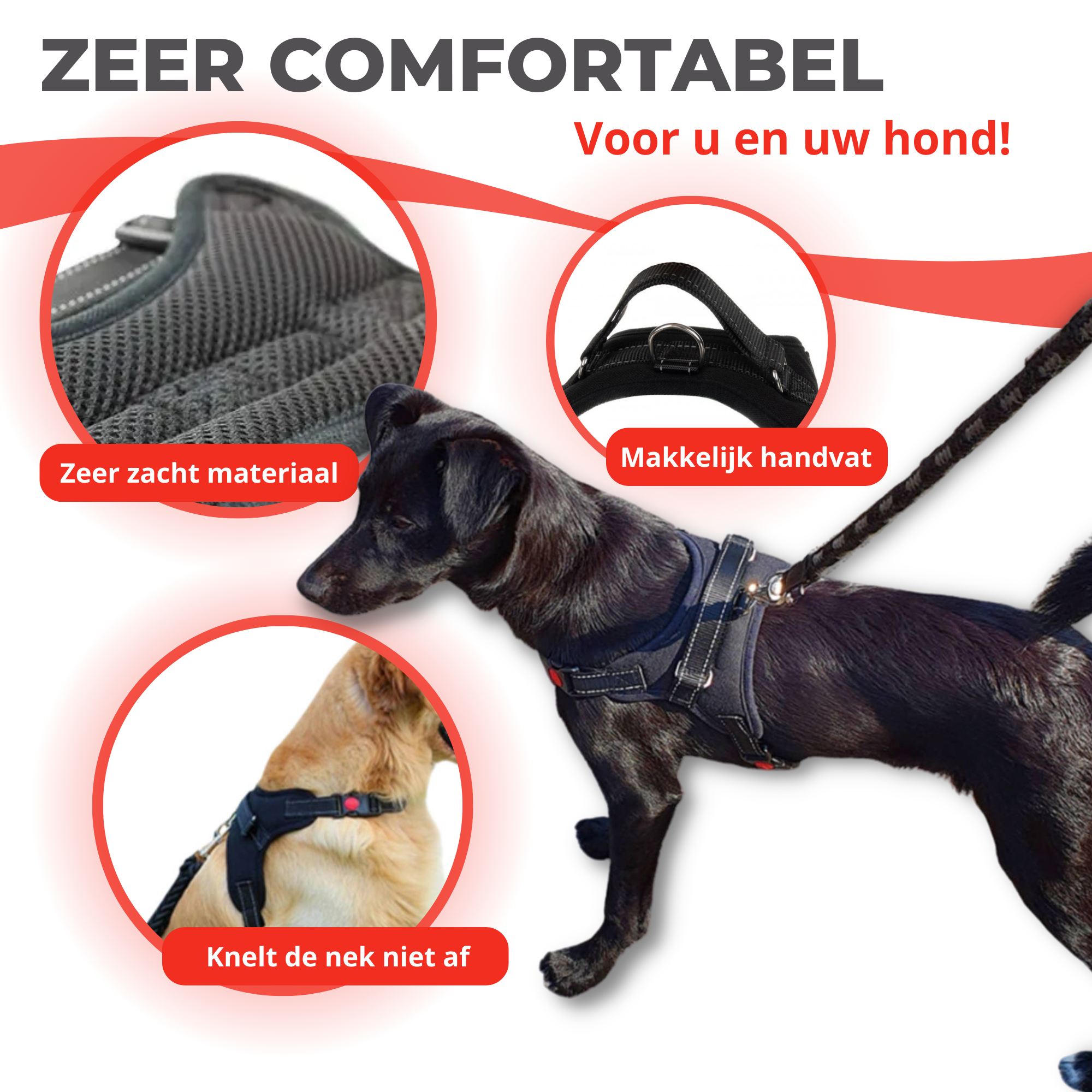 Honden Tuigje