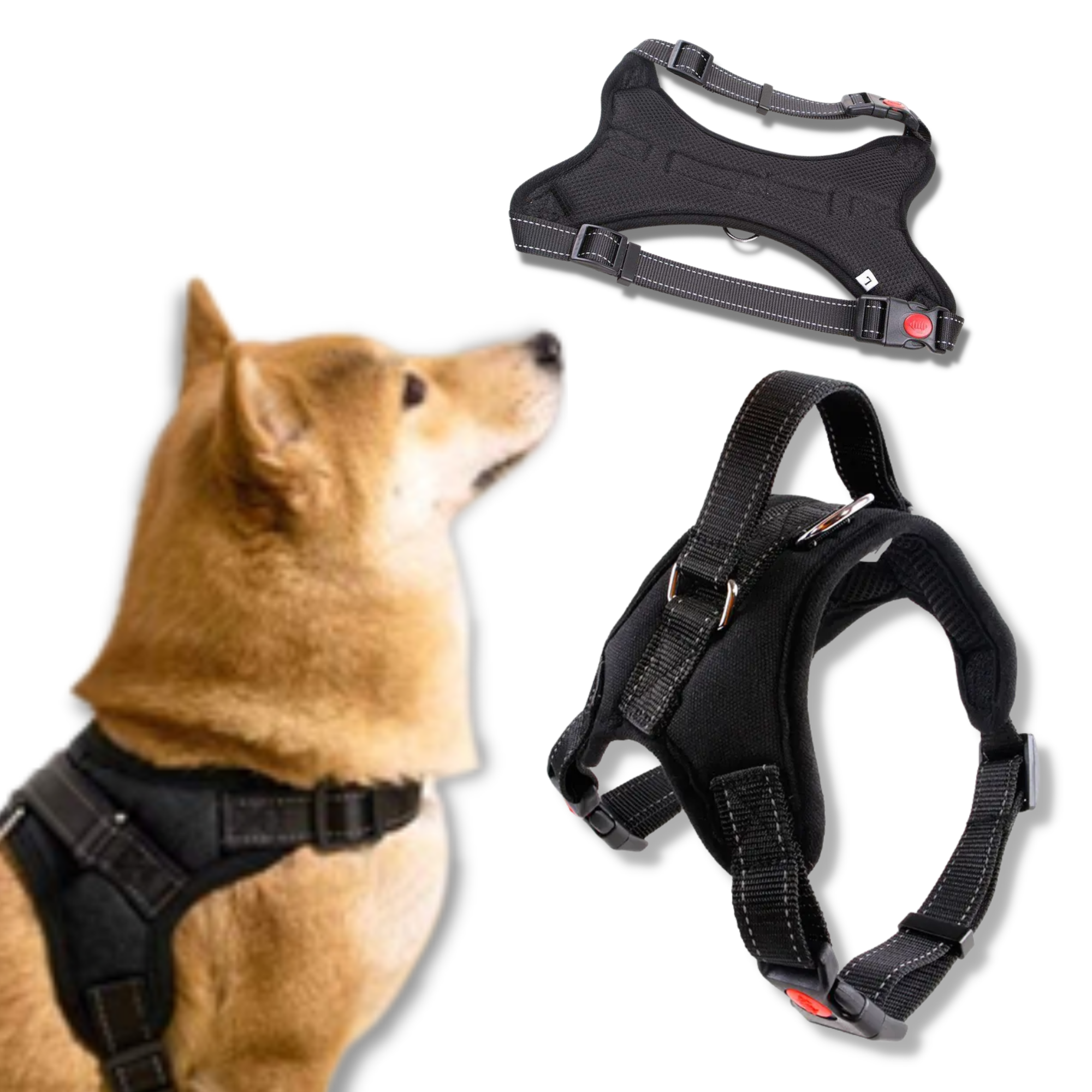 Honden Tuigje