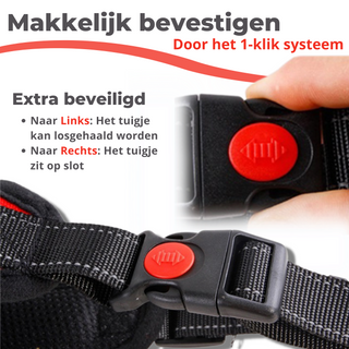 Honden Tuigje