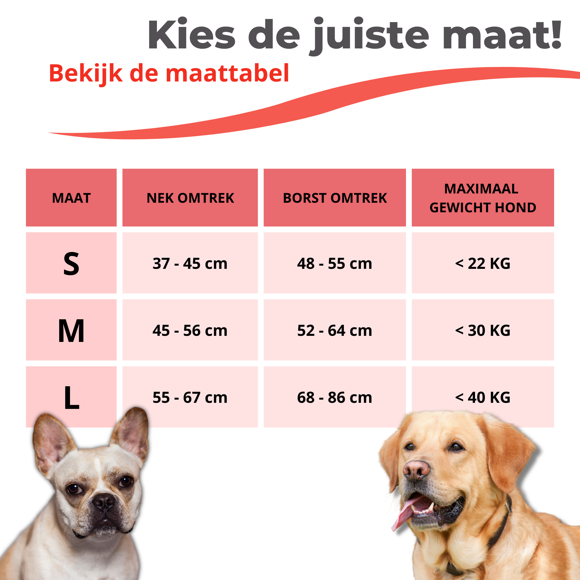 Honden Tuigje