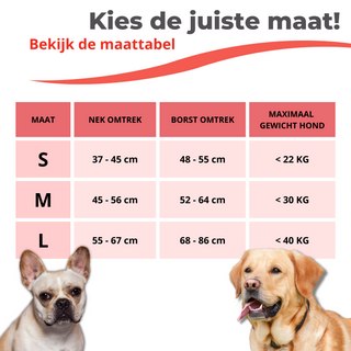 Honden Tuigje