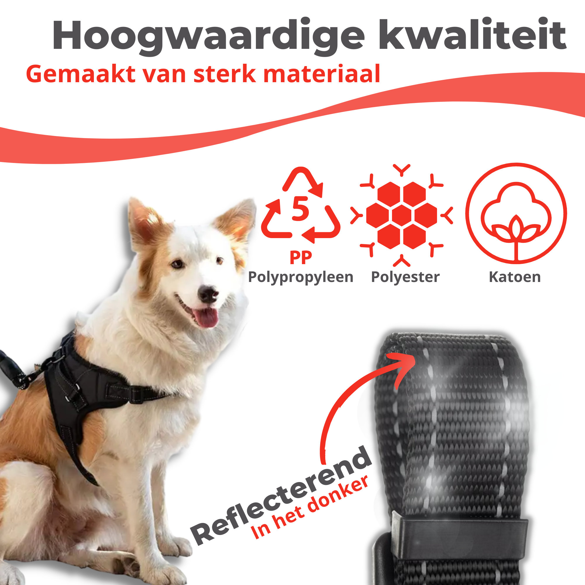 Honden Tuigje