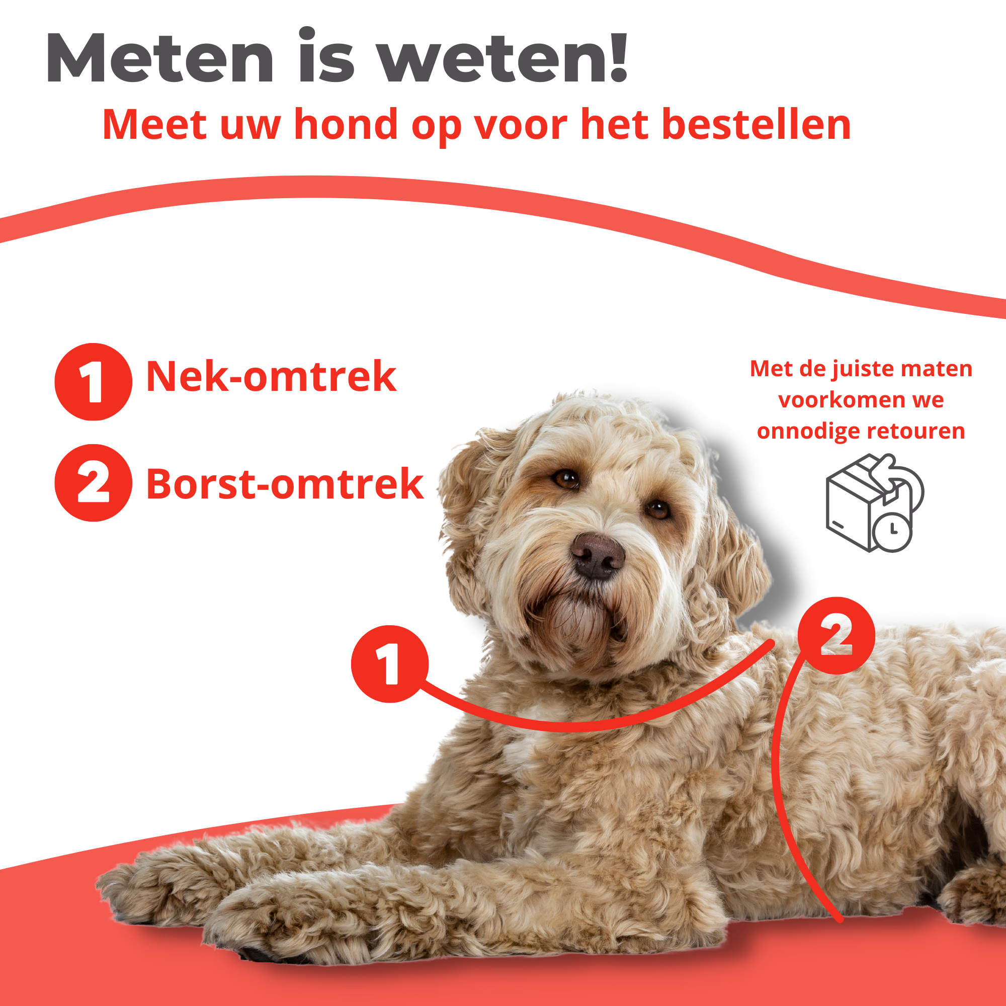 Honden Tuigje