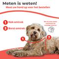 Honden Tuigje