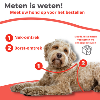 Honden Tuigje
