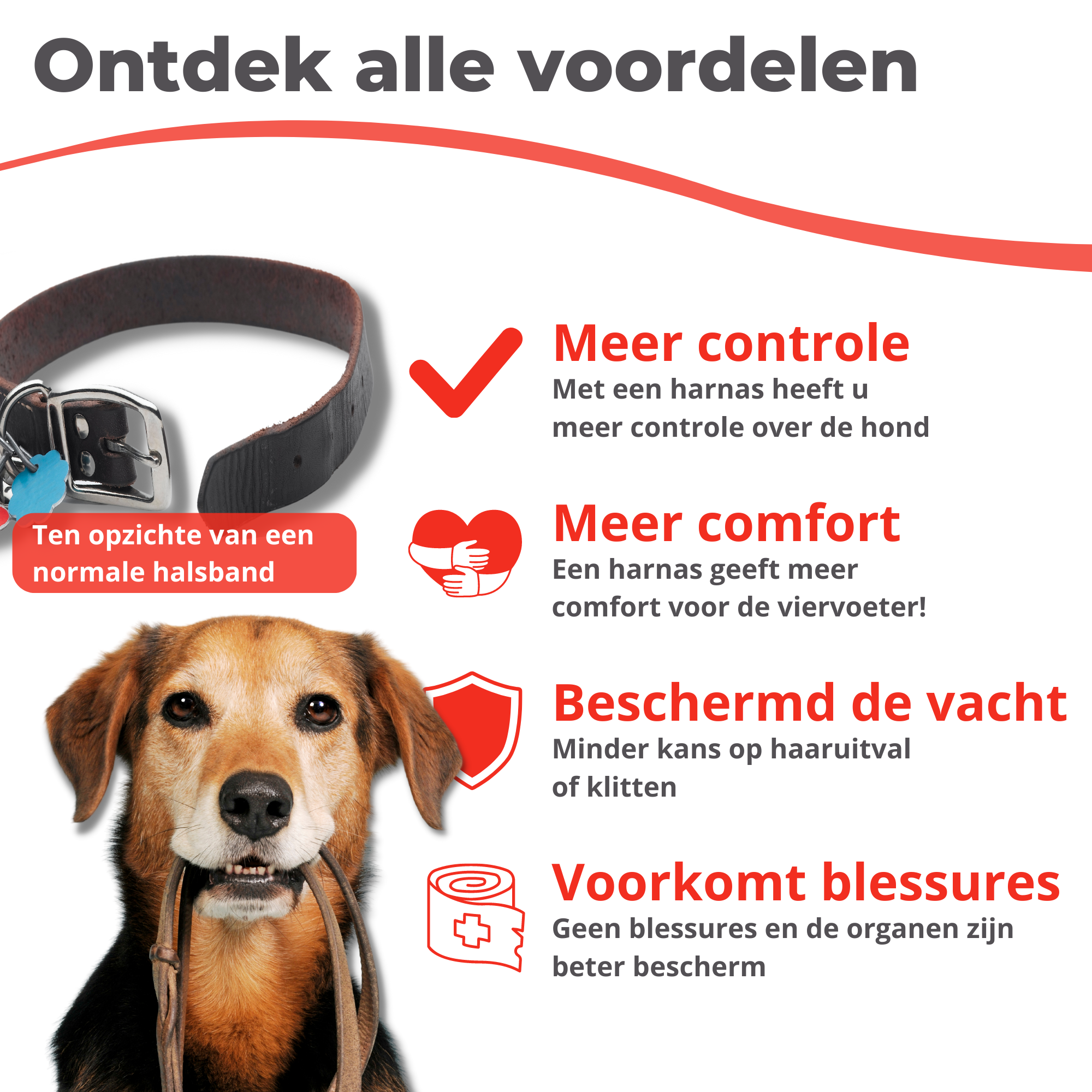 Honden Tuigje
