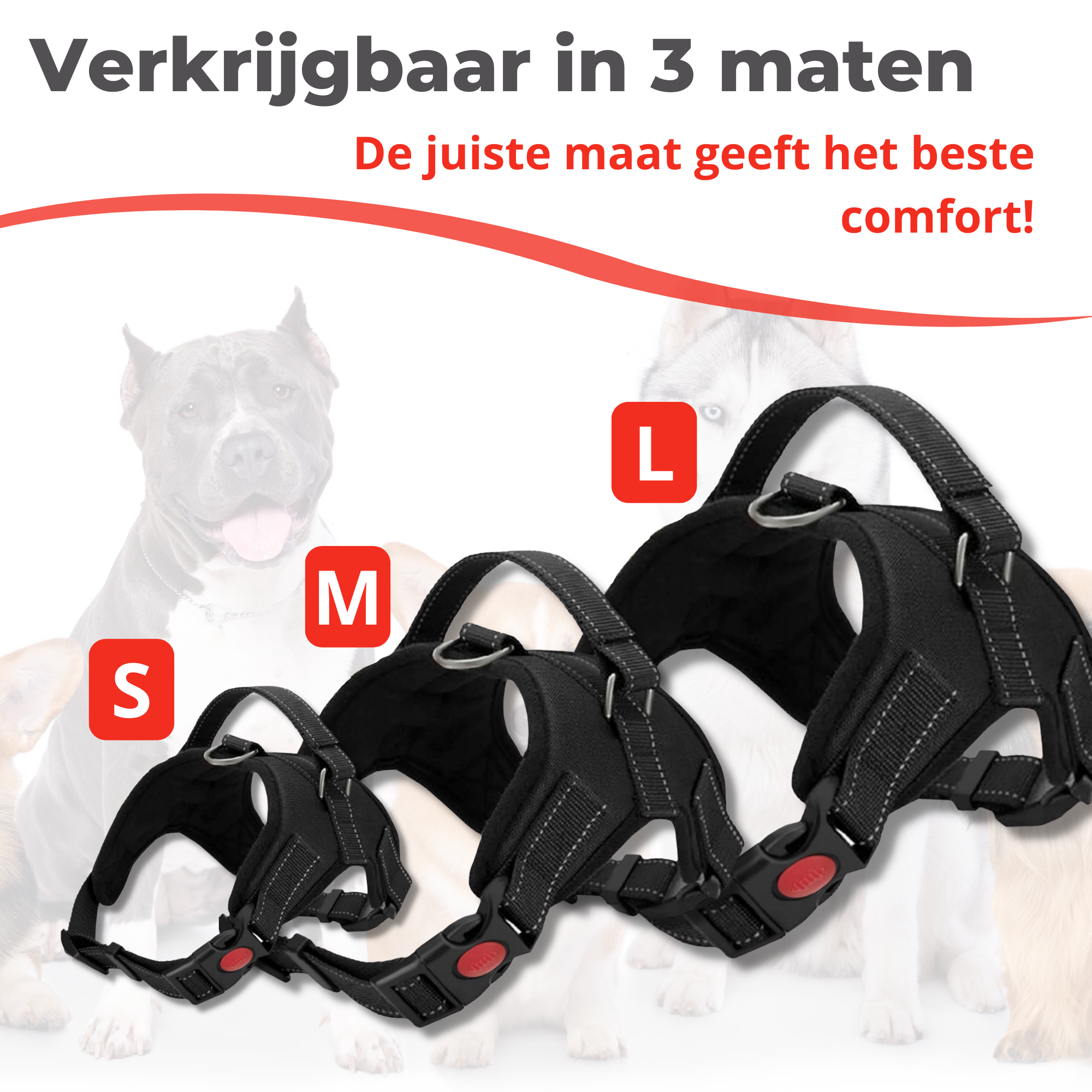 Honden Tuigje